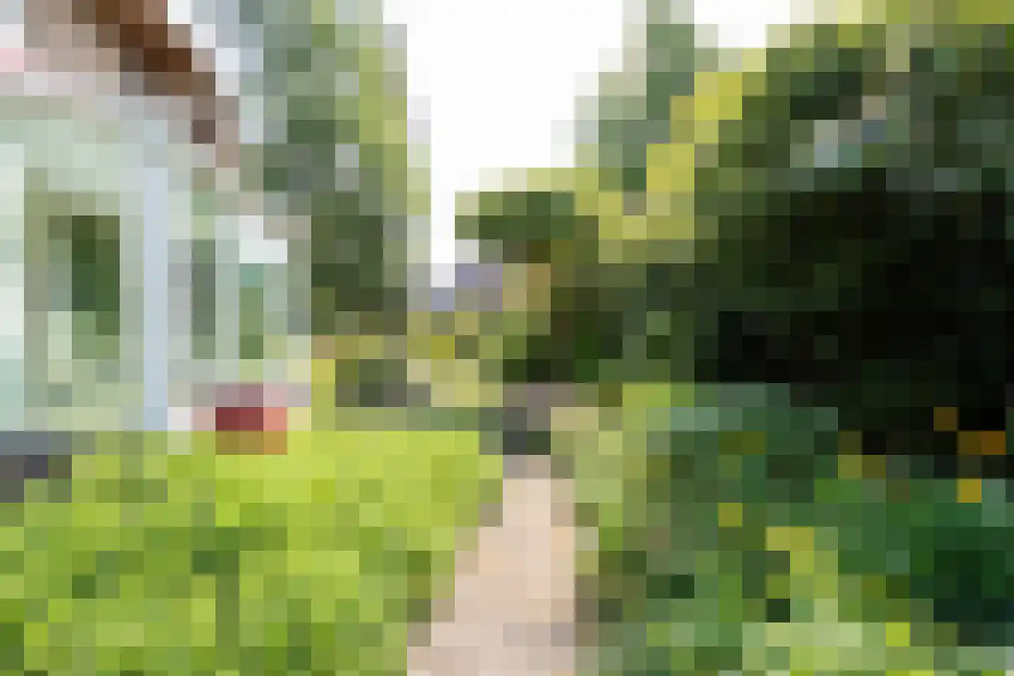 van Wassenaar van Obdamstraat 7 Nijverdal thumbnail 48