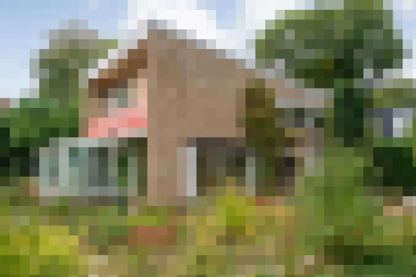van Wassenaar van Obdamstraat 7 Nijverdal thumbnail 50