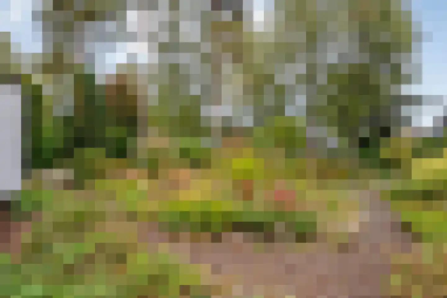 van Wassenaar van Obdamstraat 7 Nijverdal thumbnail 51
