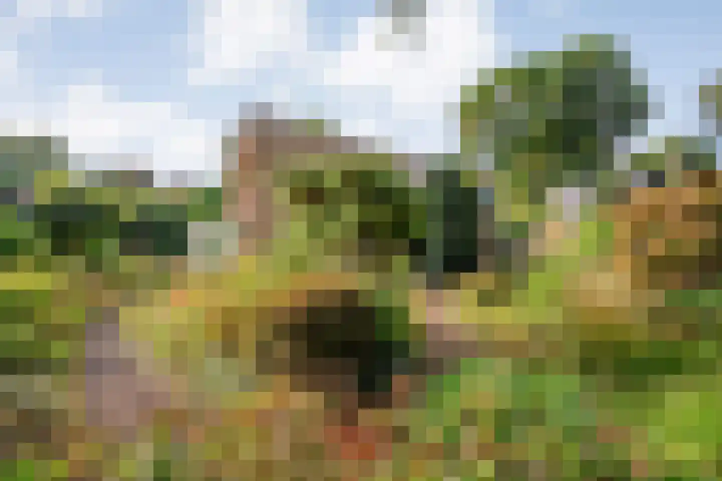 van Wassenaar van Obdamstraat 7 Nijverdal thumbnail 53