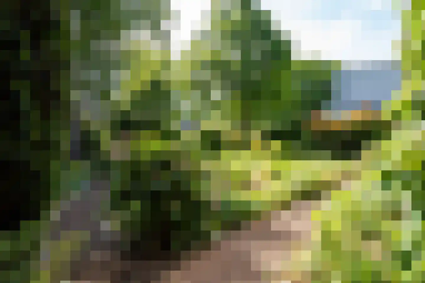 van Wassenaar van Obdamstraat 7 Nijverdal thumbnail 57