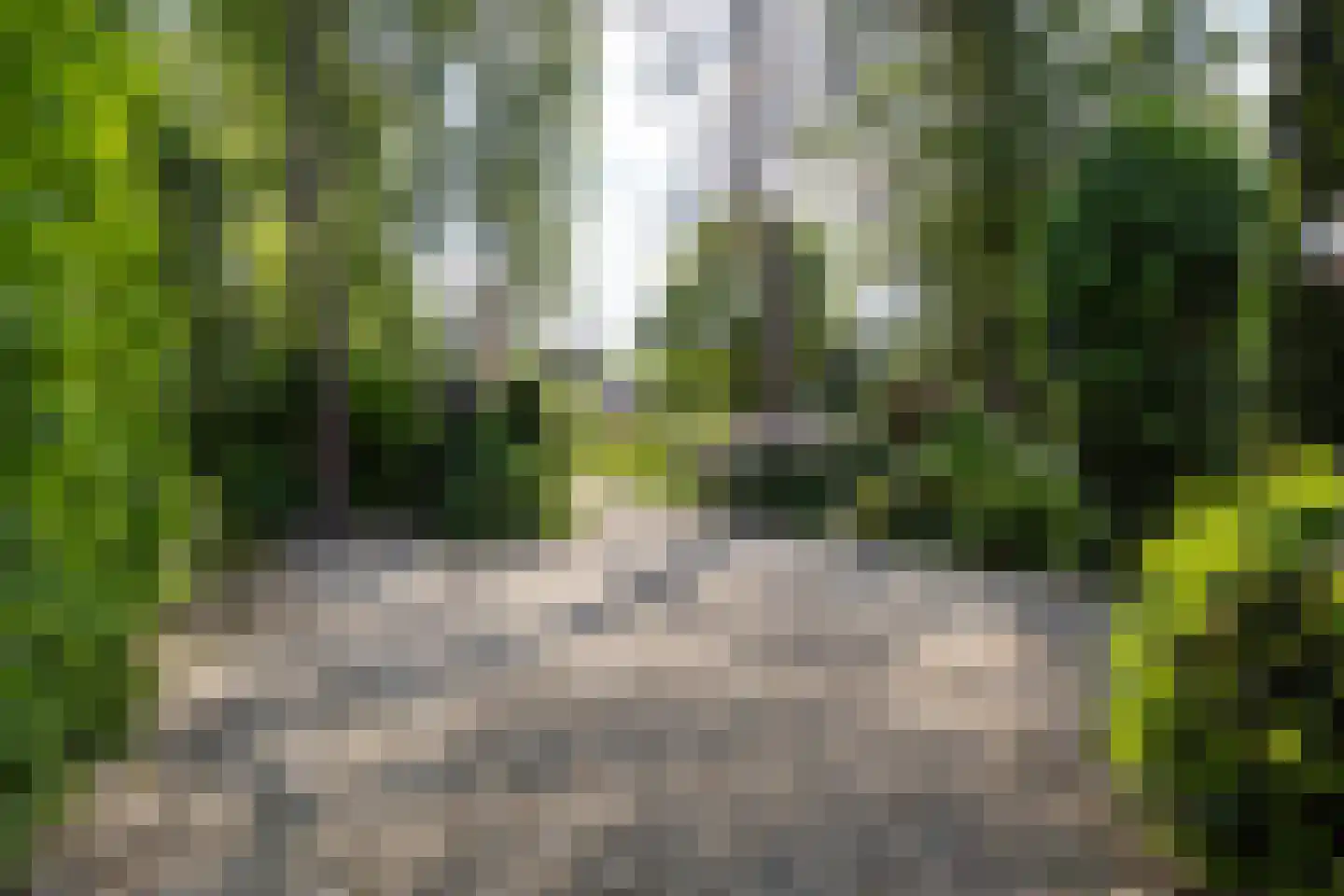 van Wassenaar van Obdamstraat 7 Nijverdal thumbnail 59