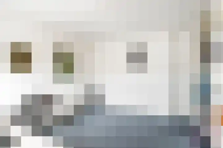 van Wassenaarstraat 1 Warmond thumbnail 20