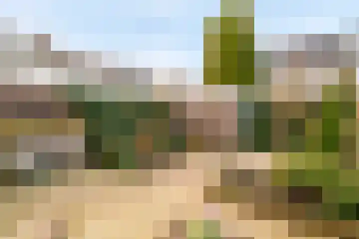 van Wassenaarstraat 1 Warmond thumbnail 35