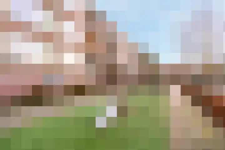 van Wassenaarstraat 1 Warmond thumbnail 36