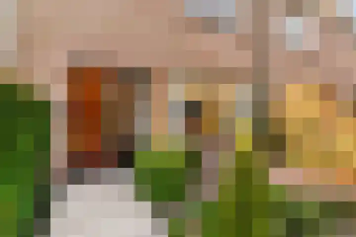 van Wassenaarstraat 1 Warmond thumbnail 5