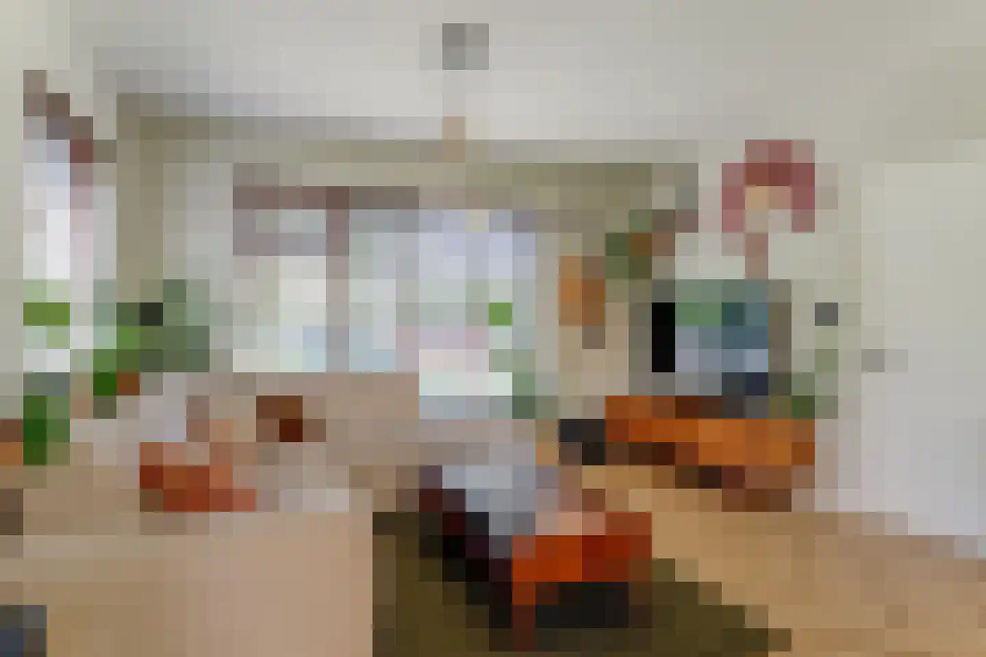 van Wassenaarstraat 12 Heerhugowaard thumbnail 8
