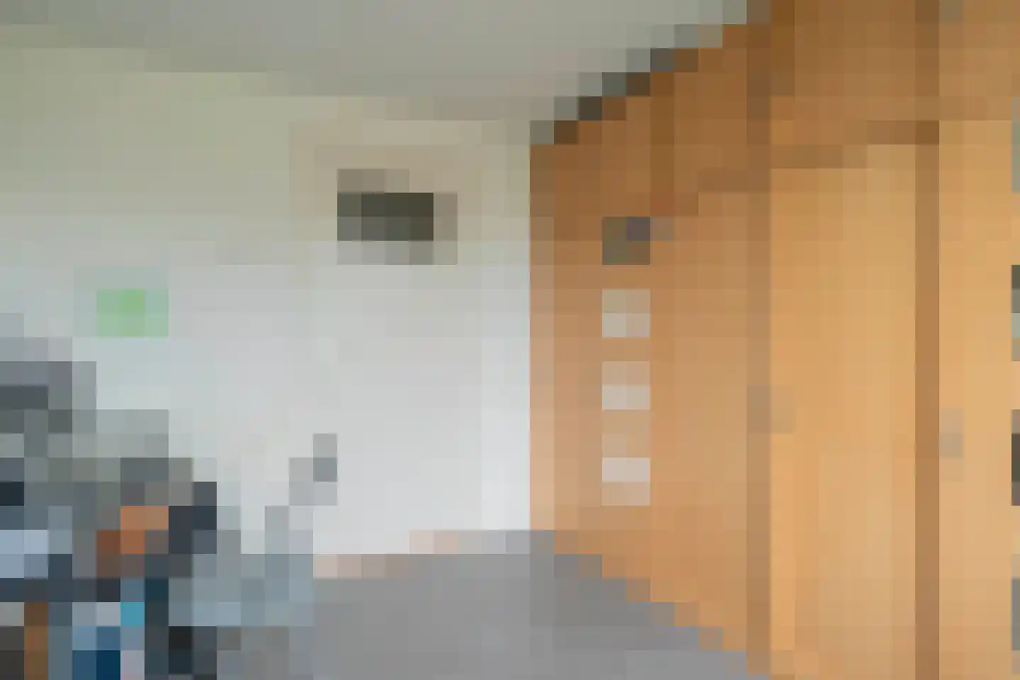 van Wassenaarstraat 20 Warmond thumbnail 25