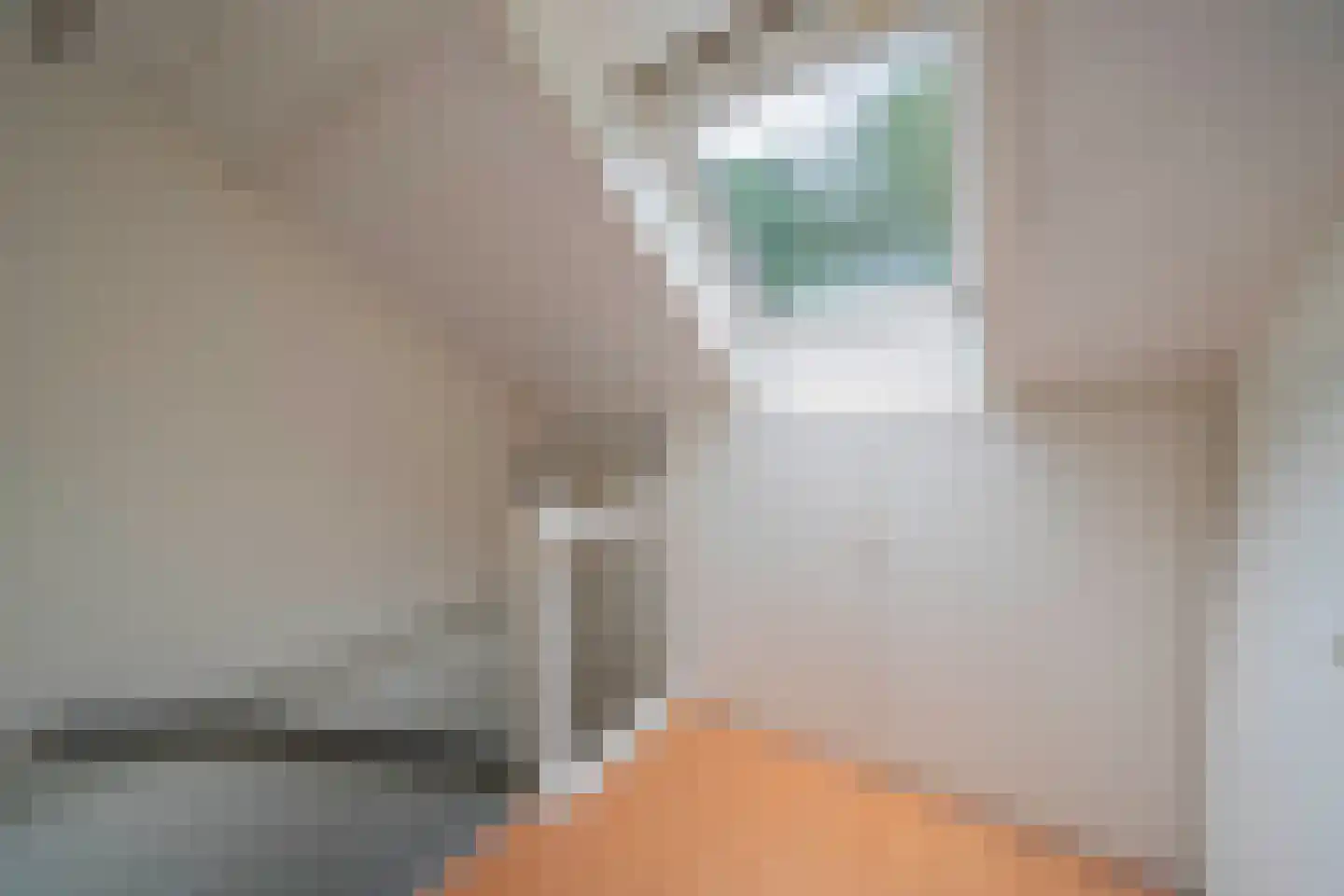 van Wassenaarstraat 20 Warmond thumbnail 30