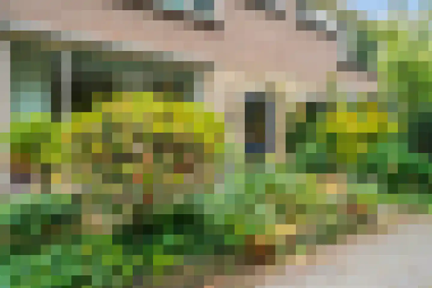 van Wassenaarstraat 20 Warmond thumbnail 37