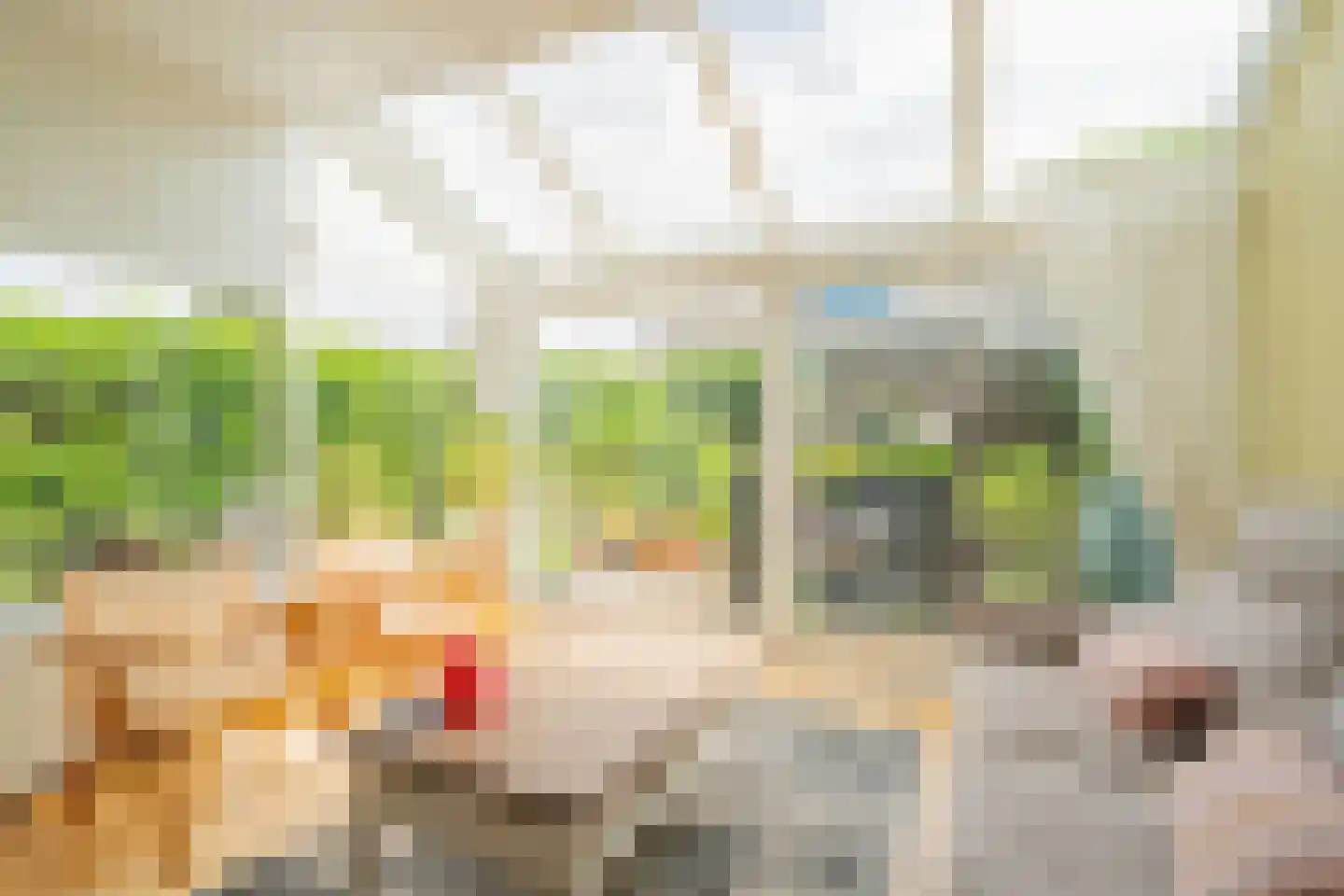 van Wassenaarstraat 20 Warmond thumbnail 7