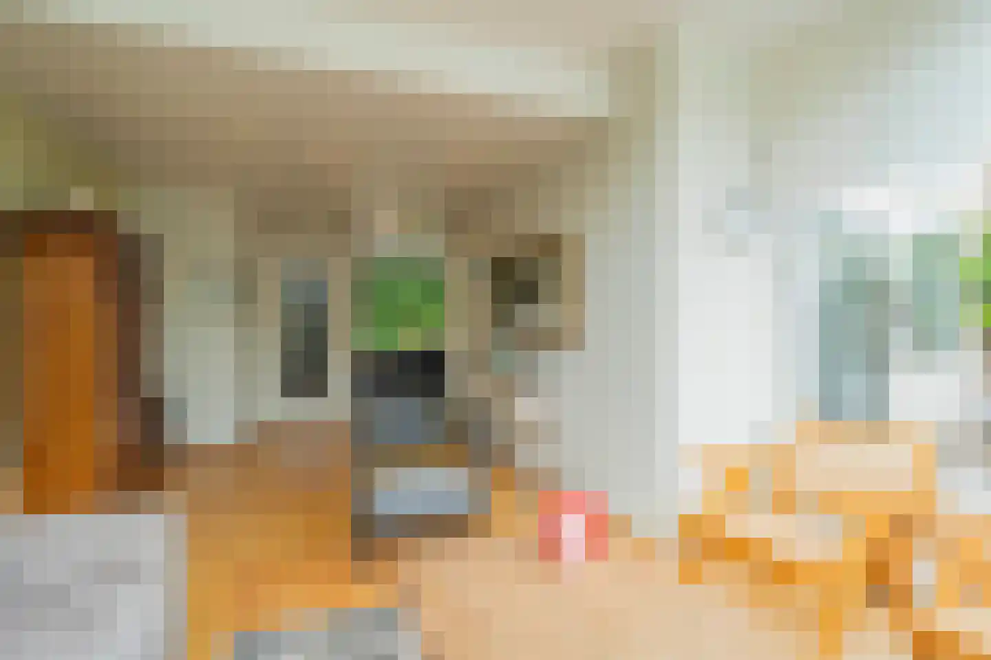 van Wassenaarstraat 20 Warmond thumbnail 8