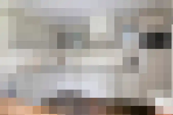 Van Wassenaarstraat 21 Elshout thumbnail 23