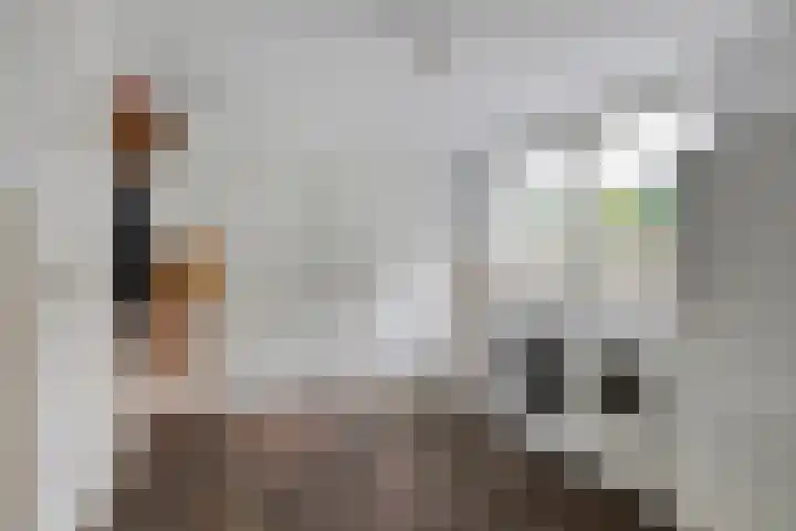 Van Wassenaarstraat 21 Elshout thumbnail 28