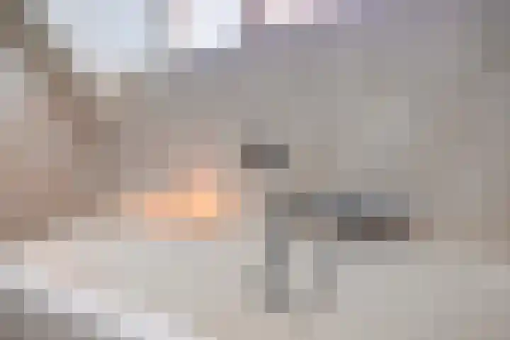 Van Wassenaarstraat 21 Elshout thumbnail 37