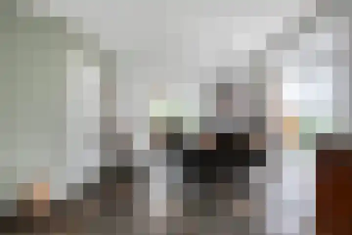 Van Wassenaarstraat 21 Elshout thumbnail 4