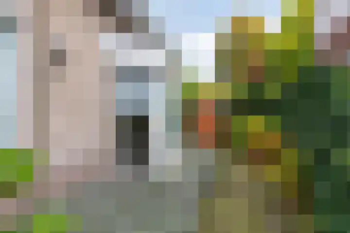 Van Wassenaarstraat 21 Elshout thumbnail 52
