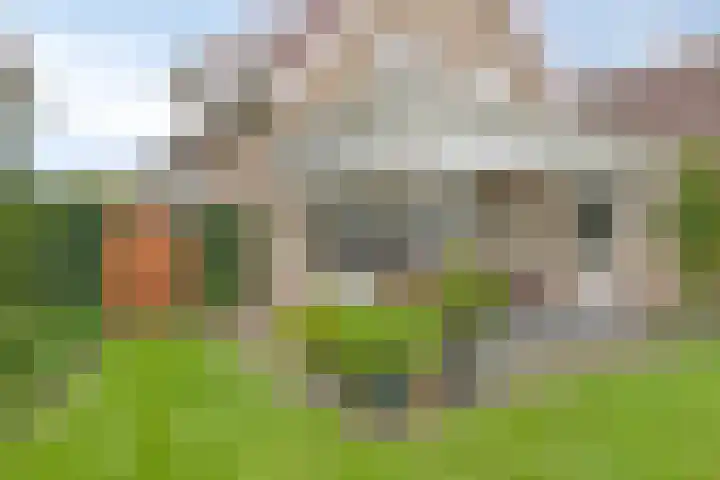 Van Wassenaarstraat 21 Elshout thumbnail 54