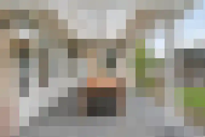 Van Wassenaarstraat 21 Elshout thumbnail 55