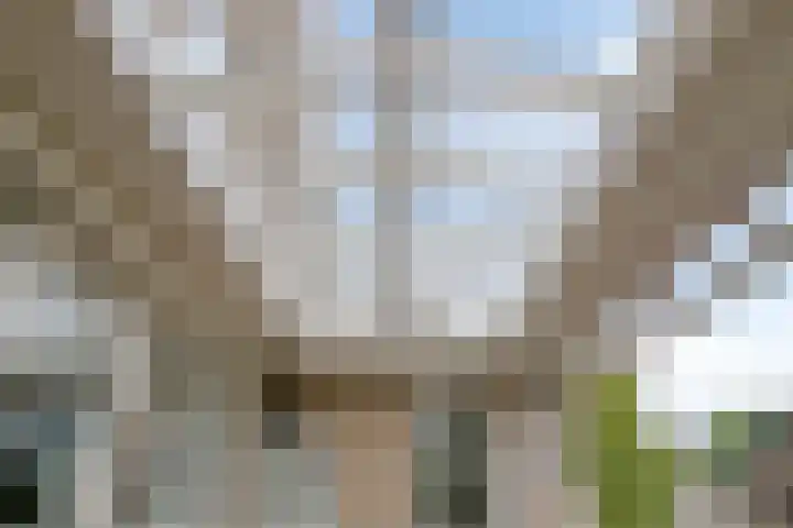 Van Wassenaarstraat 21 Elshout thumbnail 56