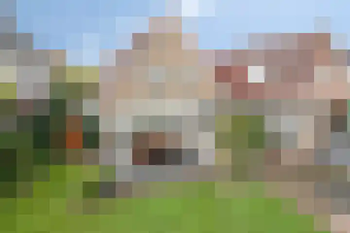 Van Wassenaarstraat 21 Elshout thumbnail 6
