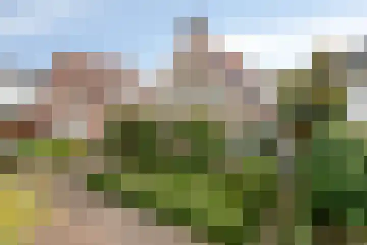 Van Wassenaarstraat 21 Elshout thumbnail 62