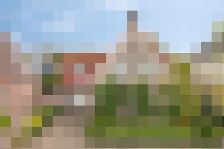 Van Wassenaarstraat 21 Elshout thumbnail 63