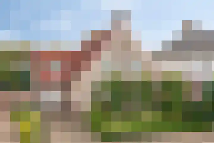 Van Wassenaarstraat 21 Elshout thumbnail 64