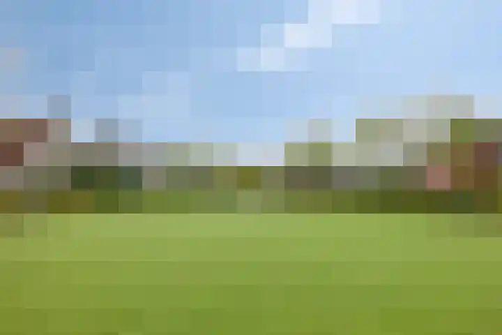 Van Wassenaarstraat 21 Elshout thumbnail 66