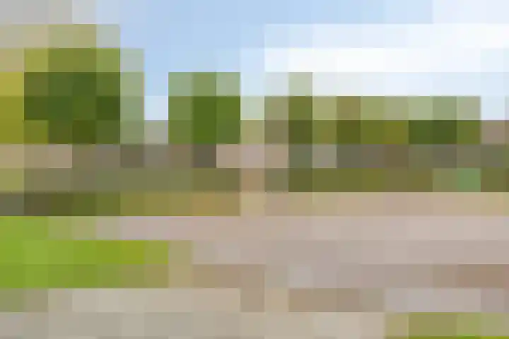 Van Wassenaarstraat 21 Elshout thumbnail 67