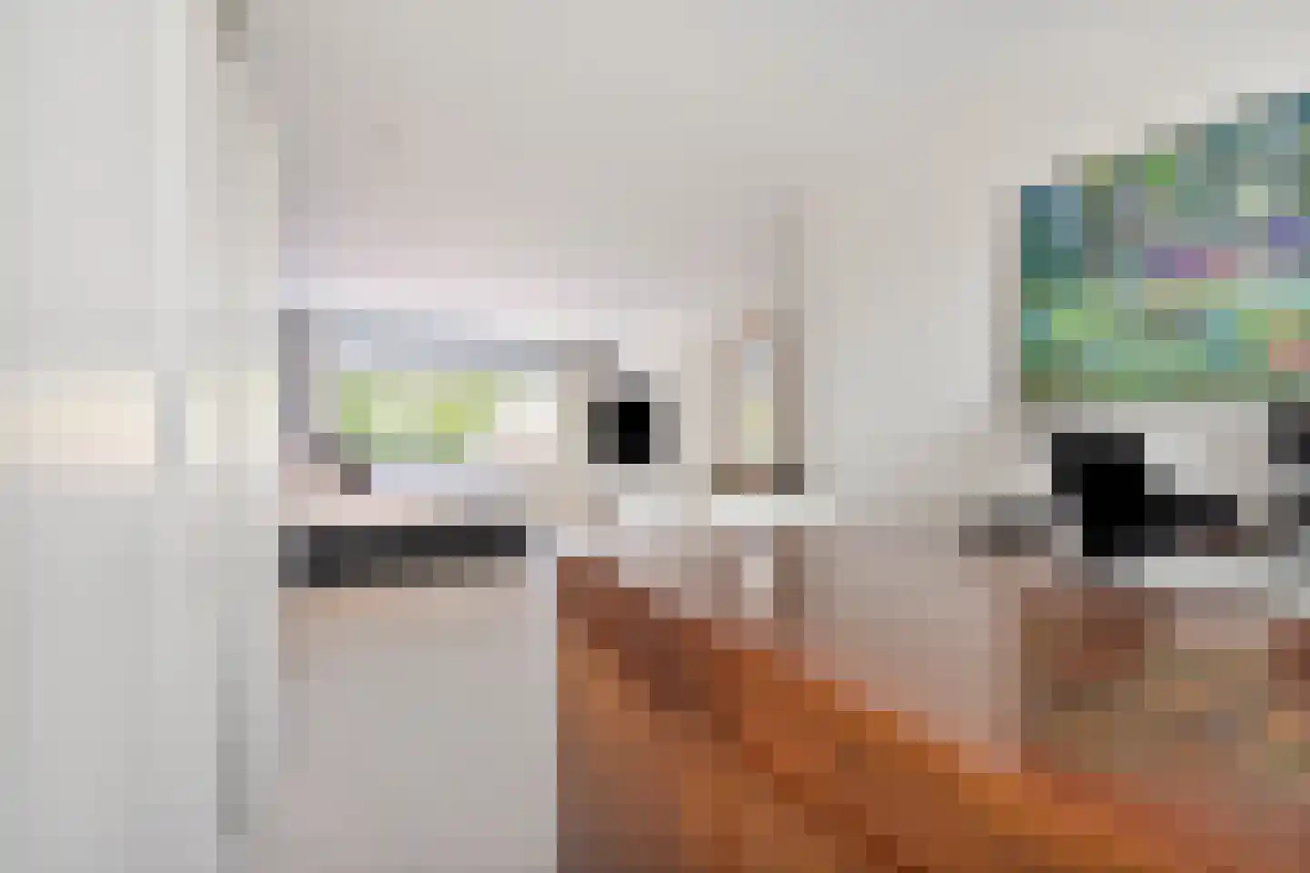 van Wassenaarstraat 38 Warmond thumbnail 17