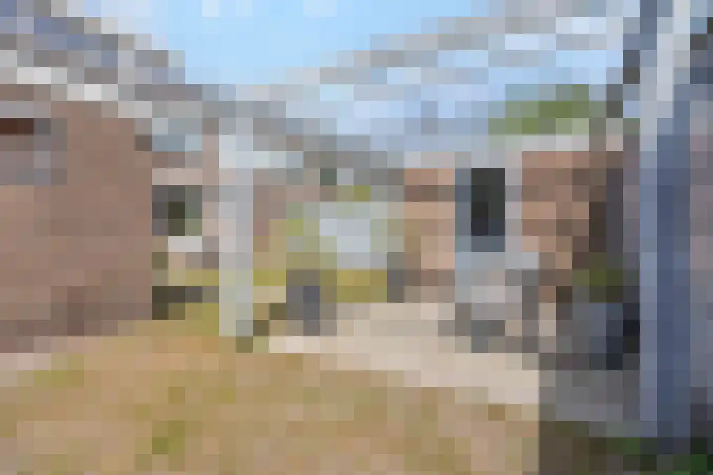 van Wassenaarstraat 38 Warmond thumbnail 35