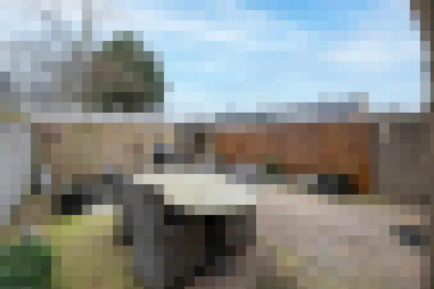 Van Wassenaer Obdamlaan 19 Wassenaar thumbnail 18