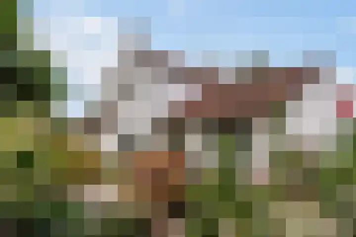 van Wassenaerlaan 1 Almen