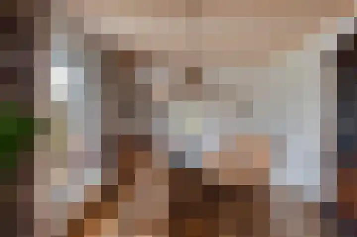 van Wassenaerlaan 1 Almen thumbnail 12