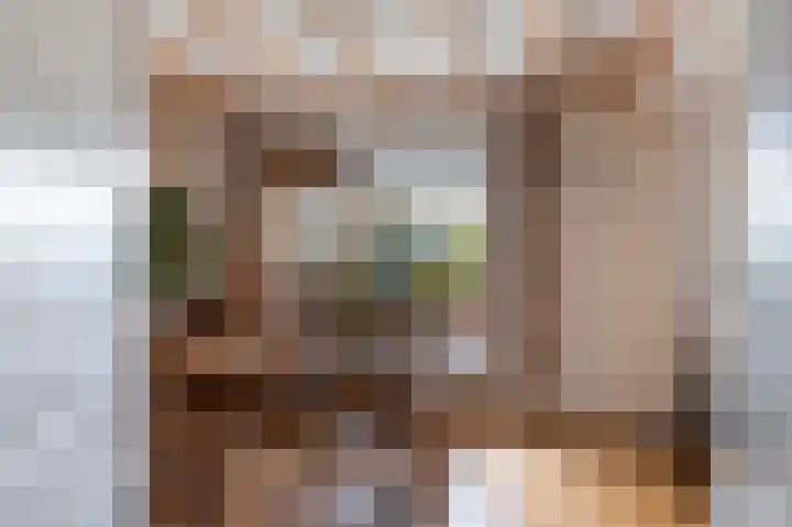 van Wassenaerlaan 1 Almen thumbnail 13