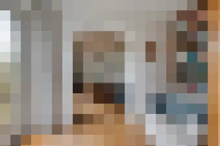 van Wassenaerlaan 1 Almen thumbnail 14