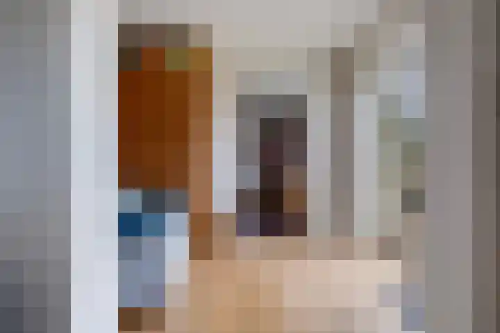 van Wassenaerlaan 1 Almen thumbnail 15