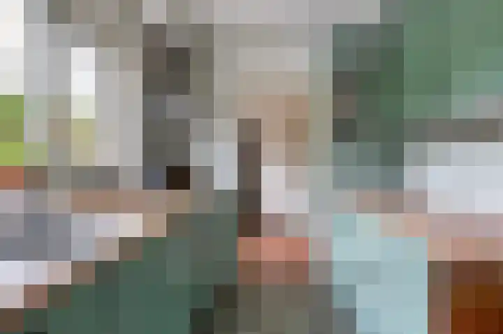 van Wassenaerlaan 1 Almen thumbnail 17