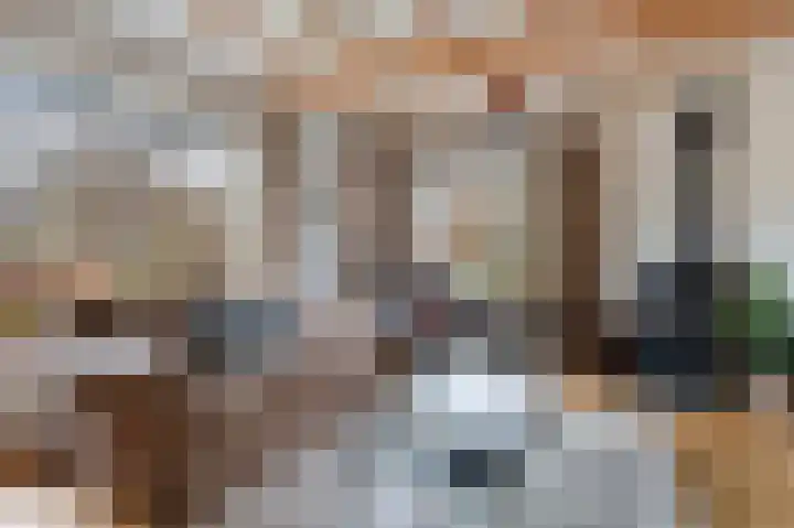 van Wassenaerlaan 1 Almen thumbnail 19