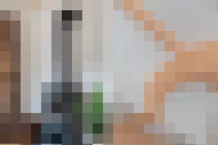 van Wassenaerlaan 1 Almen thumbnail 21