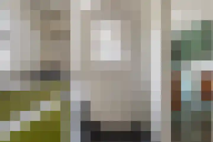 van Wassenaerlaan 1 Almen thumbnail 22