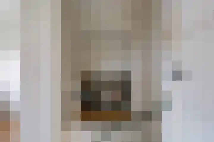 van Wassenaerlaan 1 Almen thumbnail 26