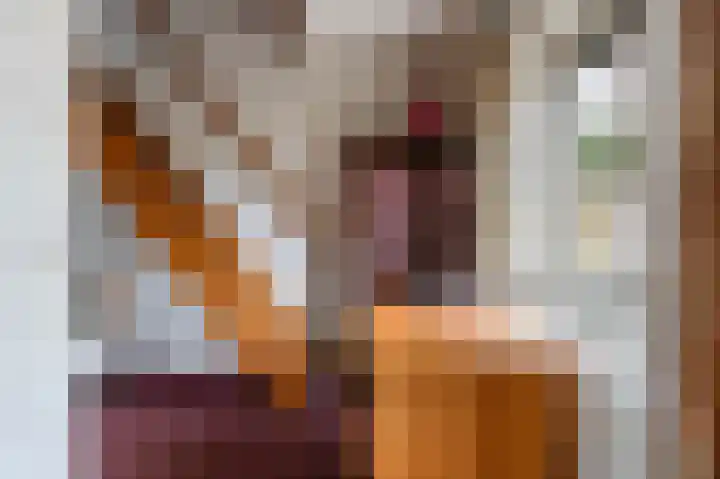 van Wassenaerlaan 1 Almen thumbnail 28