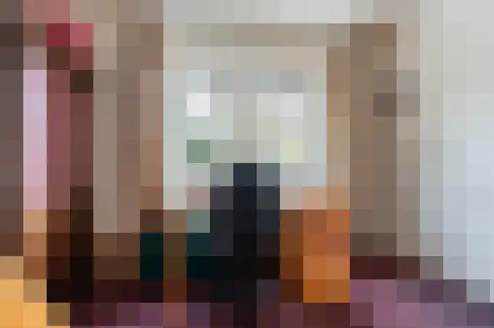 van Wassenaerlaan 1 Almen thumbnail 29