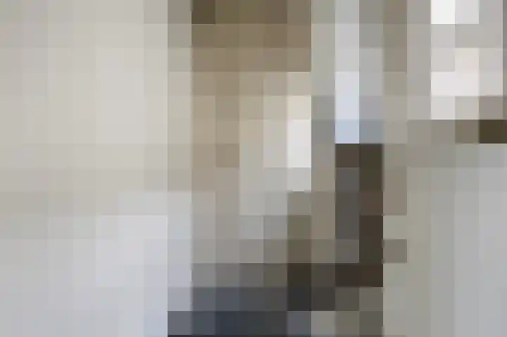 van Wassenaerlaan 1 Almen thumbnail 30
