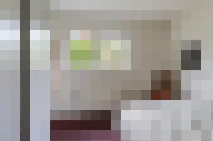 van Wassenaerlaan 1 Almen thumbnail 31