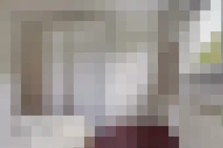 van Wassenaerlaan 1 Almen thumbnail 32