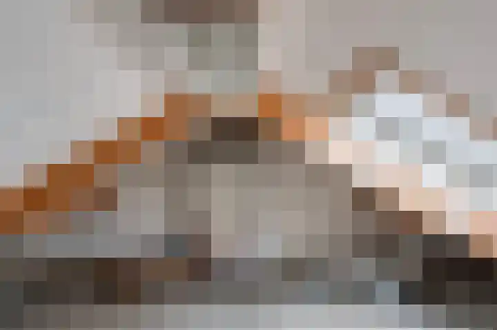 van Wassenaerlaan 1 Almen thumbnail 34
