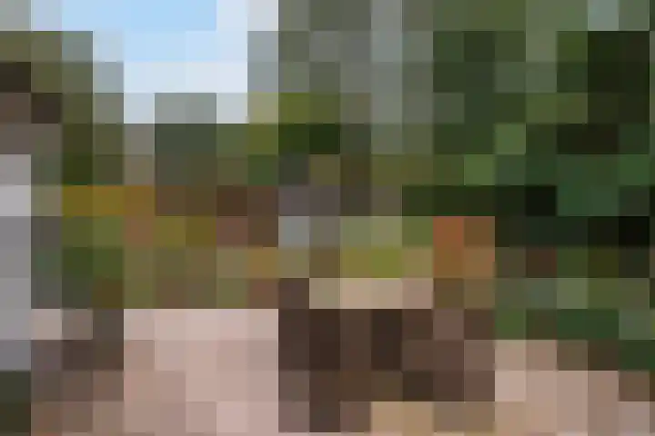 van Wassenaerlaan 1 Almen thumbnail 35